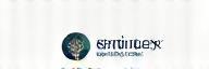 Emirates Academic Solutions Logo